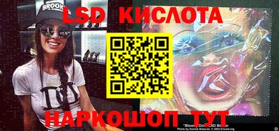 дмт Кимры