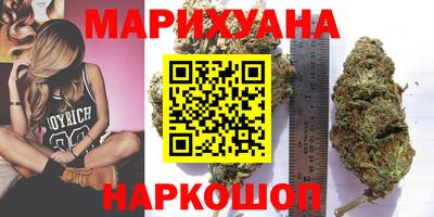 jwh Кингисепп