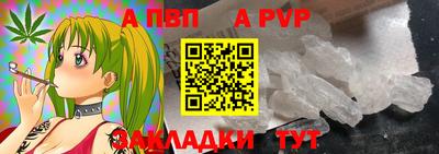 jwh Кингисепп