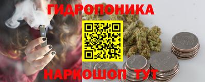 jwh Кингисепп
