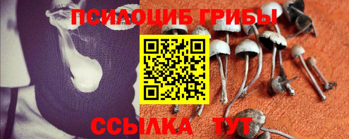 Котлас  Галлюциногенные грибы Psilocybe  Псилоцибиновые грибы мухоморы  Вход с VPN 